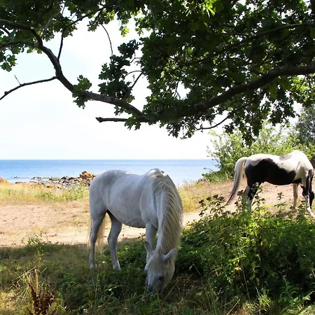 3 Person Holiday In Casa vacanze